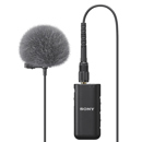 Sony ECM-L1: Picture 1 regular