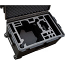 Jason Cases : Picture 1 regular