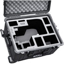 Jason Cases : Picture 1 regular