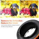 K&F Concept : Picture 1 regular