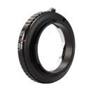 K&F Concept : Picture 1 regular