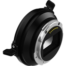 Kinefinity : Picture 1 regular