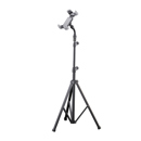 K&M 19759: Picture 1 regular