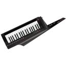 Korg RK-100S 2: Picture 1 regular