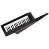 Korg RK-100S 2 37-Keys Keytar Controller Keyboard and Modeling Synthesizer, Translucent Black Black