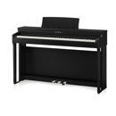 Kawai CN201: Picture 1 regular