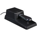 Kawai F-10H: Picture 1 regular