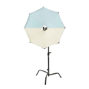 LightBridge Color Bounce Insert: Picture 1 regular