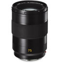Leica Summilux-SL 75mm f/2: Picture 1 regular