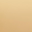 Lee Filters Antique Swede Filter: Picture 1 regular