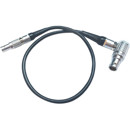 Letus : Picture 1 regular