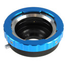 Letus : Picture 1 regular