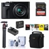 Panasonic LUMIX ZS99 Compact Point and Shoot Digital Camera, Bundle with -128GB SD Card,Shoulder Bag, Sling Strap, Extra Battery, Tripod, Photo Video Software, Care Kit Black