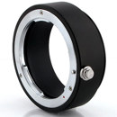 Letus : Picture 1 regular