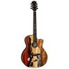 Luna Vista Deer Tropical Wood Acoustic Electric Guitar with Case, Ebony Fretboard, Gloss Natural Natural Deer Vista