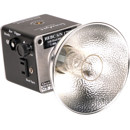 Lumedyne 800ws UV Basic Flash Head: Picture 1 regular
