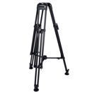 Miller : Picture 1 regular