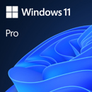 Microsoft Windows 11 Pro: Picture 1 regular