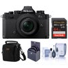 Nikon Z fc DX-Format Mirrorless Camera, Crimson Red, with 16-50mm f/3.5-6.3 VR Lens, Bundle with 64GB Memory Card, Bag and 46mm Filter Kit Black