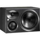 Neumann KH 310 L: Picture 1 regular