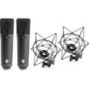 Neumann : Picture 1 regular