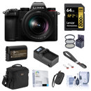 Panasonic LUMIX DC-S5: Picture 1 regular