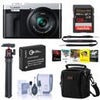 Panasonic LUMIX ZS99 Compact Point and Shoot Digital Camera, Bundle with -128GB SD Card,Shoulder Bag, Sling Strap, Extra Battery, Tripod, Photo Video Software, Care Kit Silver