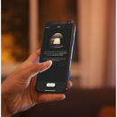 Philips Appear Outdoor Wall Light: Picture 1 regular