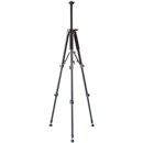 ProAm Tripod: Picture 1 regular