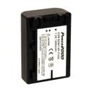 Power2000 NP-FV50: Picture 1 regular