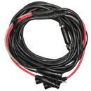 PSC : Picture 1 regular