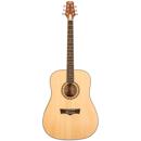 Peavey DW-1: Picture 1 regular