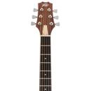 Peavey DW-2 CE: Picture 1 regular