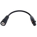 Remote Audio : Picture 1 regular