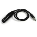 Remote Audio : Picture 1 regular