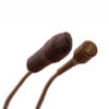 URSA Soft Sleeve for Lavalier Microphones, 3-Pack Brown