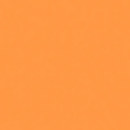 Rosco : Picture 1 regular