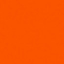 Rosco : Picture 1 regular