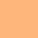 Rosco : Picture 1 regular