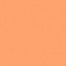 Rosco : Picture 1 regular