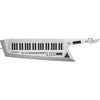 Roland AX-Edge 49-Key Keytar Synthesizer, White White
