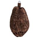 Rockustics Coconutz: Picture 1 regular