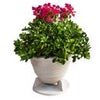 Rockustics 8" 2-Way Outdoor OmniPlanter Speaker, Granite Gray Granite
