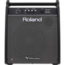 Roland PM-200 180W Personal Drum Monitor