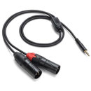 Samson : Picture 1 regular