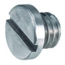 Steadicam : Picture 1 regular