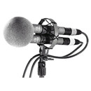 Schoeps WMS: Picture 1 regular