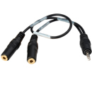 Sescom : Picture 1 regular