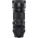 Sigma 100-400mm f/5-6.3 DG DN: Picture 1 regular