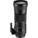 Sigma 150-600mm F5-6.3 DG OS: Picture 1 regular